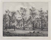 KG 08531
<br/>
Velserbeek
<br/>
<em>Buffa & Zonen, Kunsthandel Frans (wekzaam 1808-1951)</em>